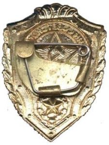 Excellent Soldier badge with pin connector