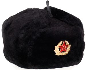 Navy officer of the Russian Federation mouton ushanka hat. Current issue.